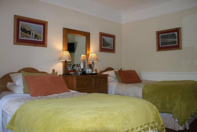 Dolweunydd Bed and Breakfast - Photo5