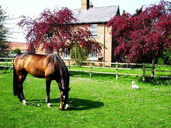 High Belthorpe Bed & Breakfast Bishop Wilton - Photo5