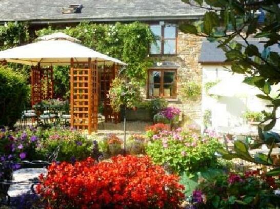 West Down Farm Bed & Breakfast South Molton - Photo4