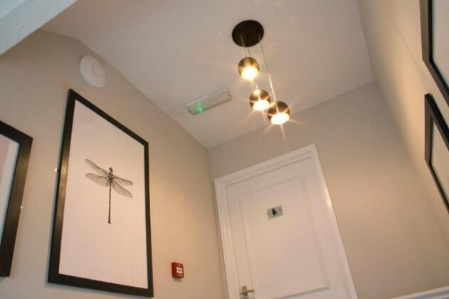 Blackbird Luxury Apartments Room 4 - Photo4