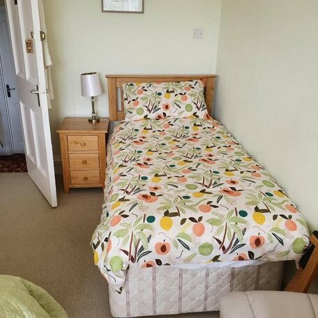 Pendyffryn Manor Bed & Breakfast - Photo4