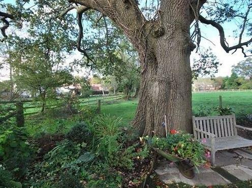Oak Tree Cottage - Photo5