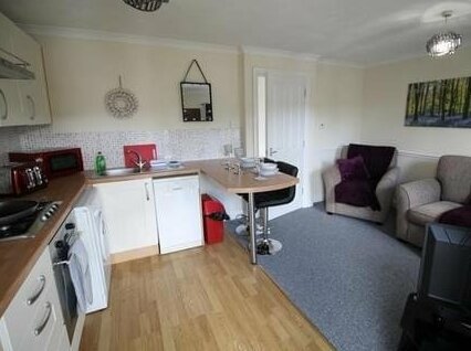 Ardwyn One bedroom Apartment by Cardiff Holiday Homes - Photo3
