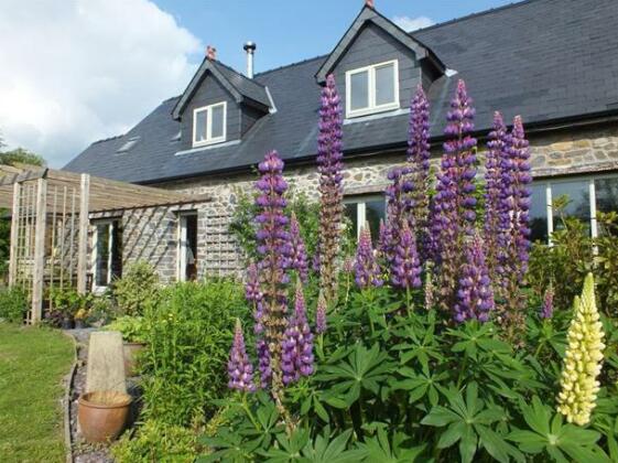 Baytree Bed and Breakfast Carmarthen
