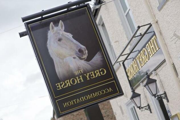 The Grey Horse - Photo5