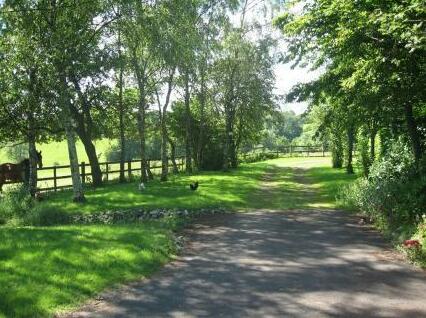 Landews Meadow Cottages - Photo4