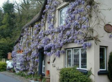 Mole Cottage Bed and Breakfast Umberleigh
