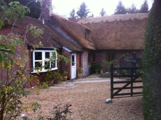 Thatched Cottage - Photo2