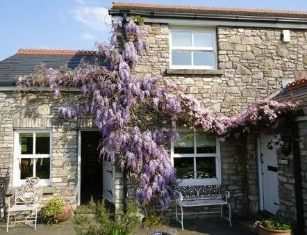 Plas Hen Country Guest House - Photo4