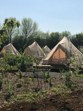 Glamping at The Holford Arms