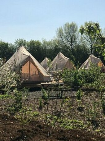 Glamping at The Holford Arms