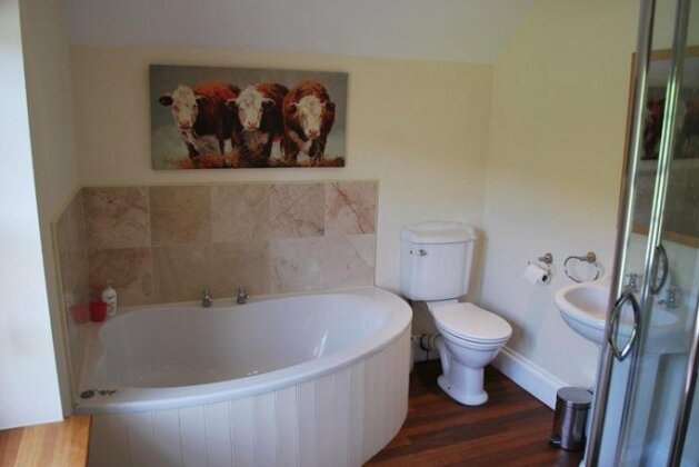 Apartment Finchale Abbey - Photo5
