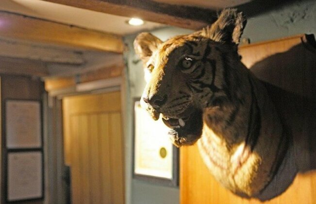Tiger Inn Eastbourne - Photo5