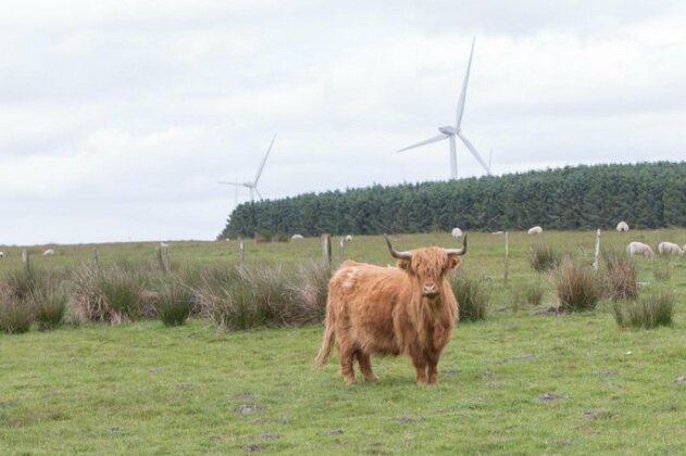 Middlemoor Farm Holidays - Photo5