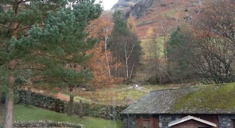Great Langdale Bunkhouse - Photo4