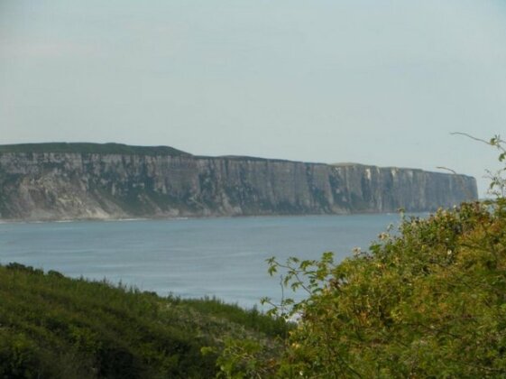Nett's Coastal Escape Filey - Photo3