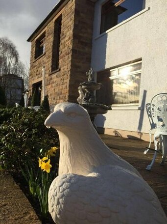 Westcourt Bed & Breakfast - Photo4