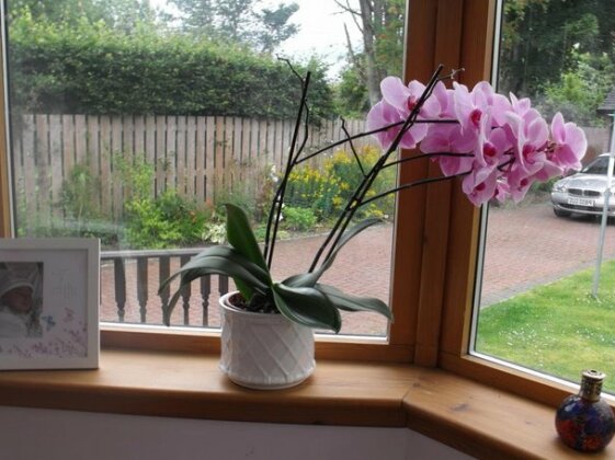 Arisaig Guest House Inverness - Photo3