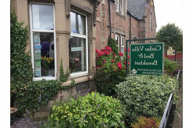 Cedar Villa Guest House - B&B - Photo2