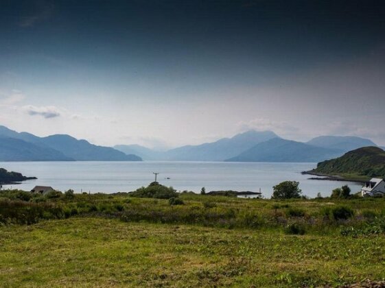 Thistles On Skye - Photo2