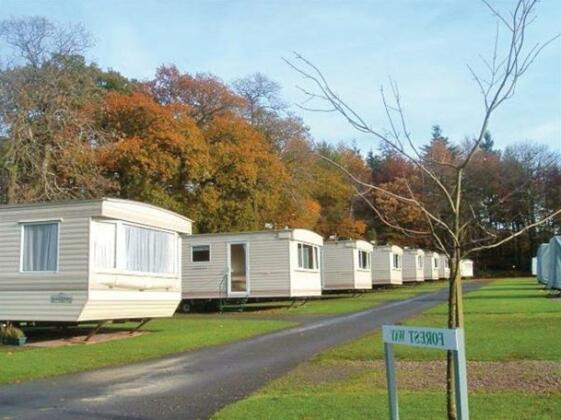 Forest Glade Holiday Park - Photo2