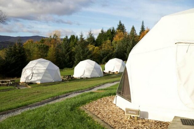 Glamping Dome - Photo2