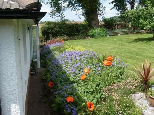 The Orchard Bed and Breakfast Abergavenny - Photo3