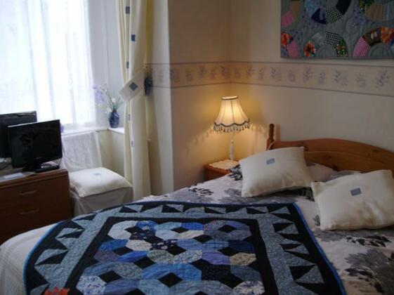 Plasnewydd Bed and Breakfast - Photo4