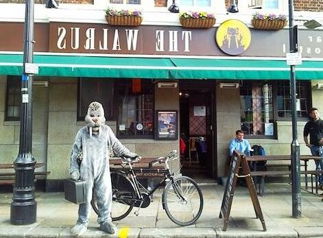 The Walrus Bar and Hostel - Photo3