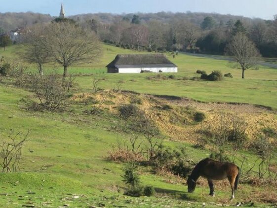 Whitemoor House B&B - Photo4