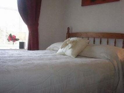 Plas Mawr Bed & Breakfast Machynlleth - Photo5
