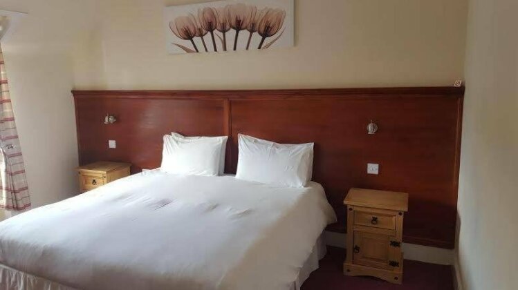 The Steam Inn - Photo4