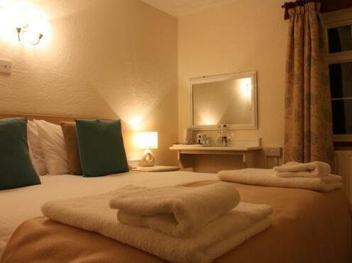 Ty Dderw Country Inn - Photo3