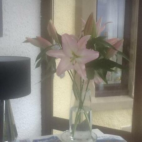 Wetherby Seaview House Bed & Breakfast - Photo2