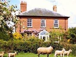 Higher Coombe Farm Bed and Breakfast Sidmouth - Photo2