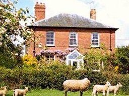 Higher Coombe Farm Bed and Breakfast Sidmouth - Photo3
