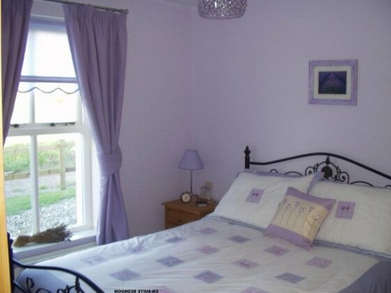 Beech House Portballintrae - Photo5