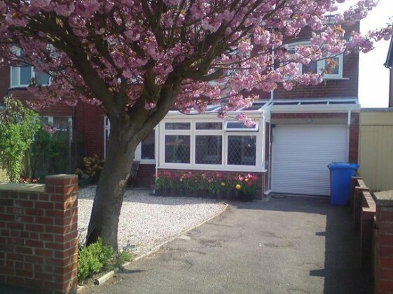 Cherry Blossom Guest House - Photo4