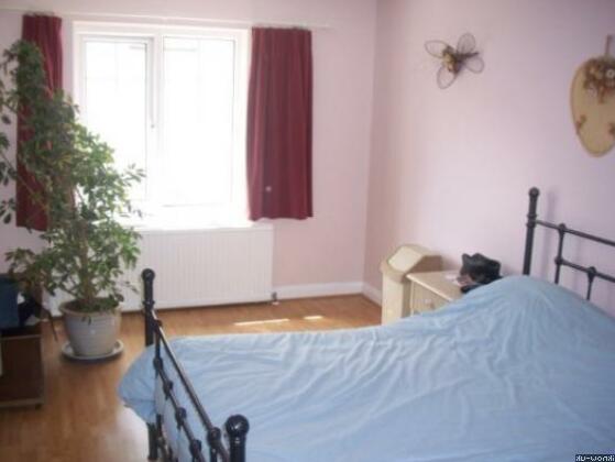Harbourside House Surf Lodge - Photo3