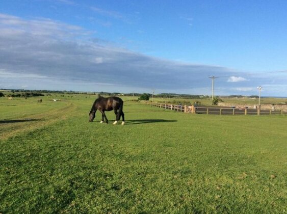 The Stables Seahouses - Photo2