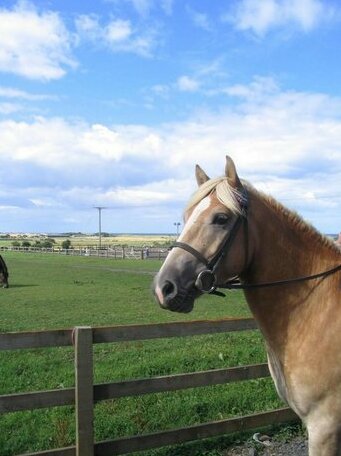 The Stables Seahouses - Photo3