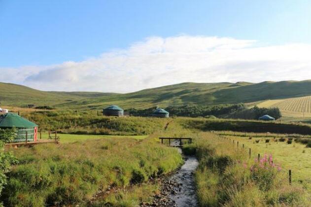 Ettrick Valley Yurts