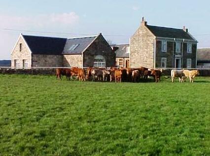 Ardeer Farm Steading - Photo3