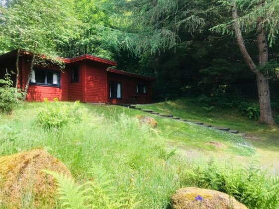 Hillside Log cabin Ardoch Lodge Strathyre - Photo3