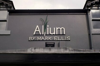 Allium by Mark Ellis