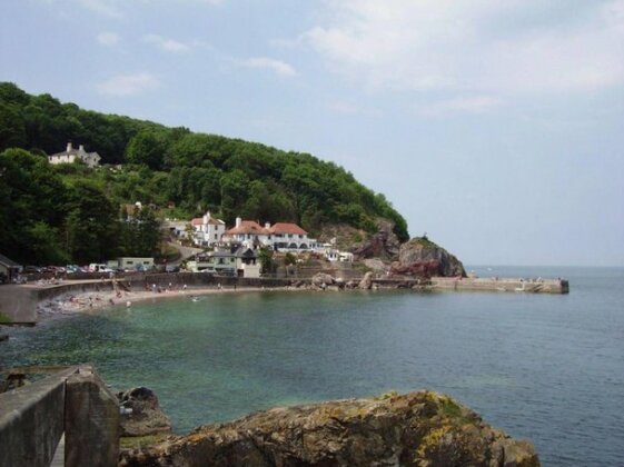 Babbacombe Palms