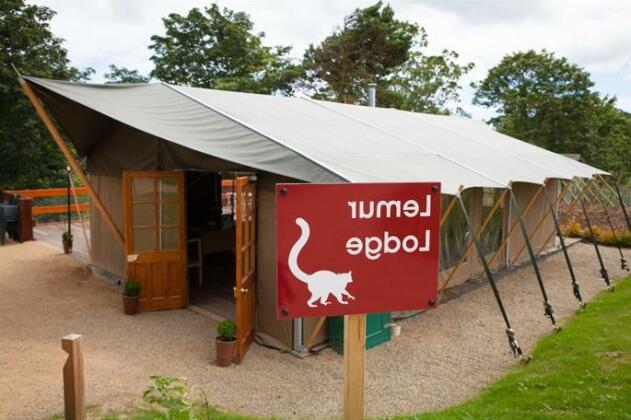 Durrell Wildlife Camp