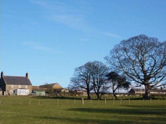 Aln Valley Cottages - Photo5
