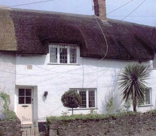 Tudor Thatch Cottage - Photo2