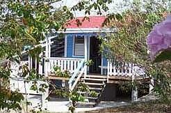 Bayaleau Point Cottages - Photo2